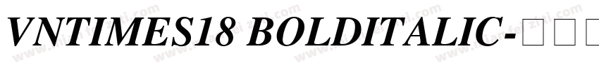 VnTimes18 BoldItalic字体转换